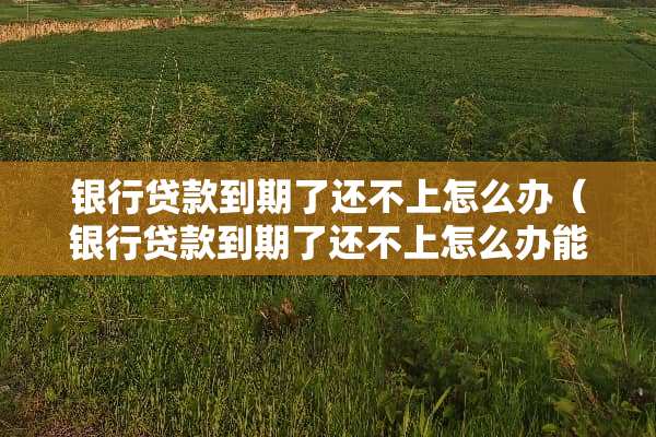 银行贷款到期了还不上怎么办（银行贷款到期了还不上怎么办能延期多久）