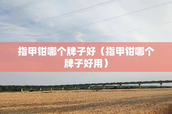 指甲钳哪个牌子好（指甲钳哪个牌子好用）