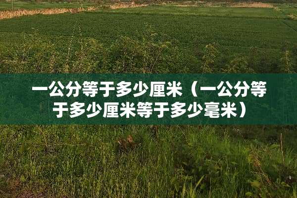 一公分等于多少厘米（一公分等于多少厘米等于多少毫米）