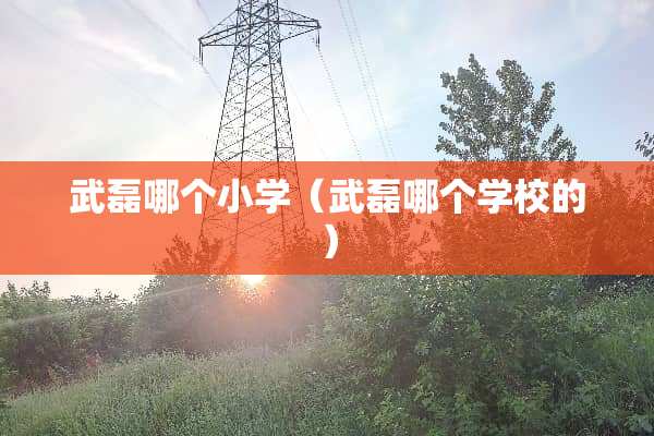 武磊哪个小学（武磊哪个学校的）
