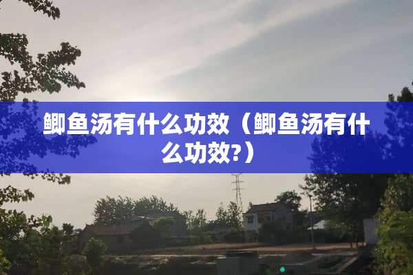 鲫鱼汤有什么功效（鲫鱼汤有什么功效?）