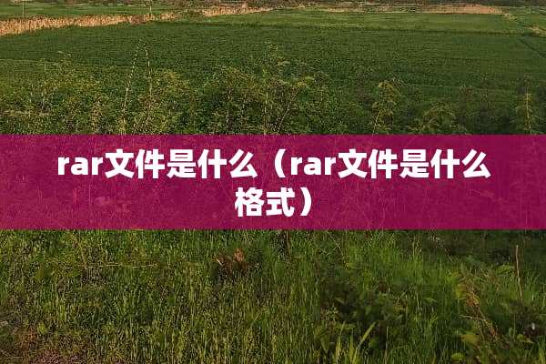 rar文件是什么（rar文件是什么格式）