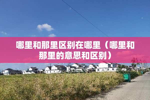 哪里和那里区别在哪里（哪里和那里的意思和区别）