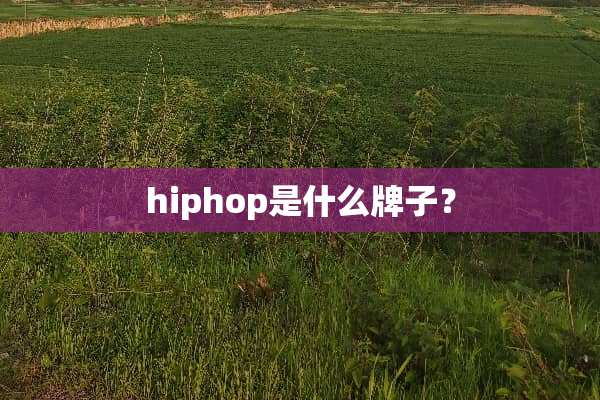 hiphop是什么牌子？
