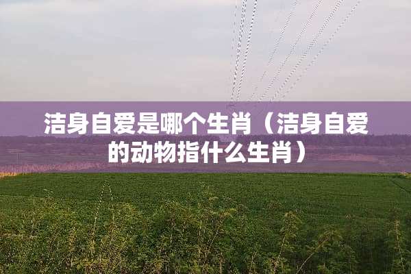 洁身自爱是哪个生肖（洁身自爱的动物指什么生肖）