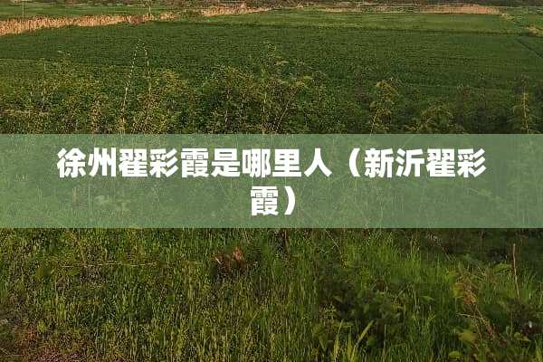 徐州翟彩霞是哪里人（新沂翟彩霞）