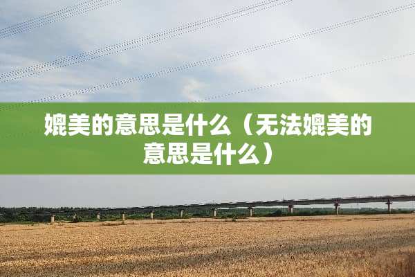 媲美的意思是什么（无法媲美的意思是什么）