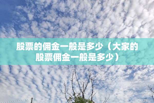 股票的佣金一般是多少（大家的股票佣金一般是多少）