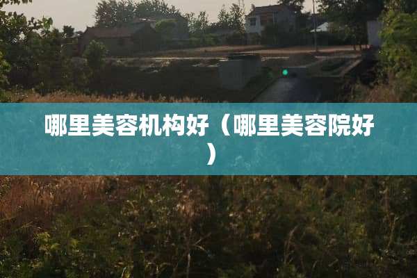 哪里美容机构好（哪里美容院好）
