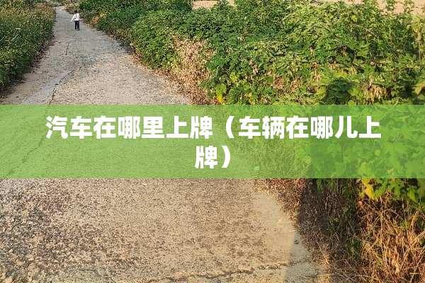 汽车在哪里上牌（车辆在哪儿上牌）