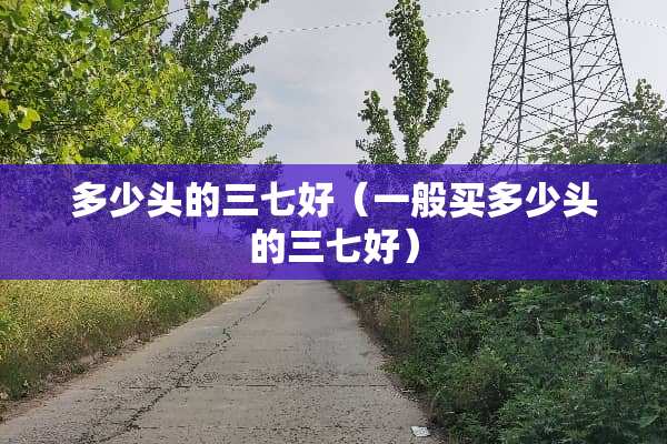 多少头的三七好（一般买多少头的三七好）