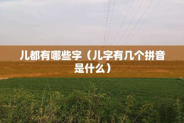 儿都有哪些字（儿字有几个拼音是什么）