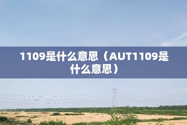 1109是什么意思（AUT1109是什么意思）