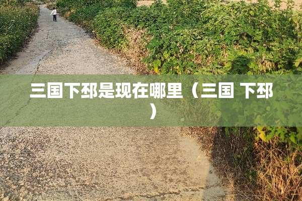 三国下邳是现在哪里（三国 下邳）