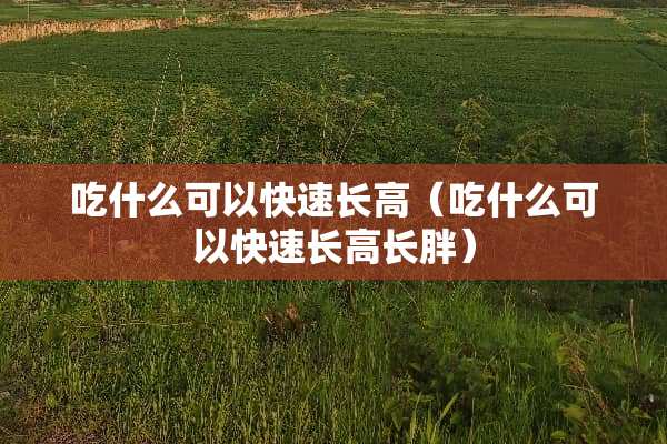 吃什么可以快速长高（吃什么可以快速长高长胖）