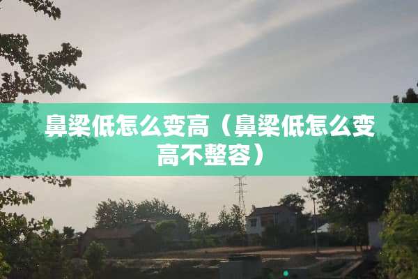 鼻梁低怎么变高（鼻梁低怎么变高不整容）