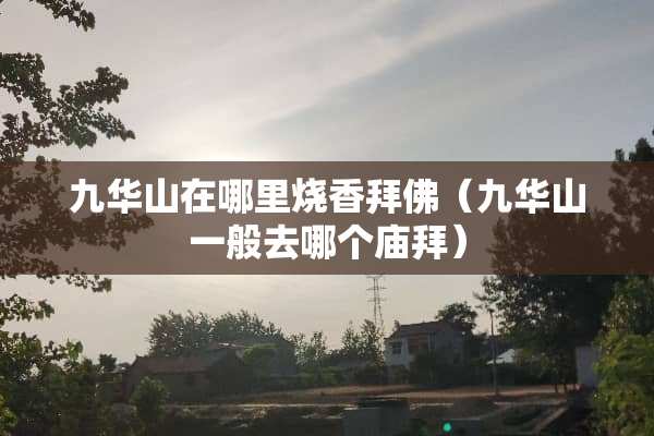 九华山在哪里烧香拜佛（九华山一般去哪个庙拜）
