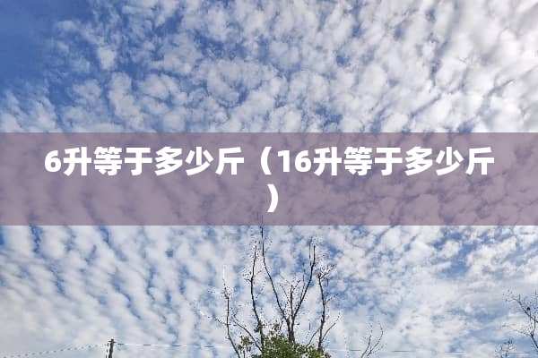 6升等于多少斤（16升等于多少斤）