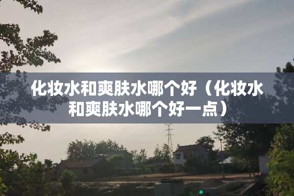 化妆水和爽肤水哪个好（化妆水和爽肤水哪个好一点）