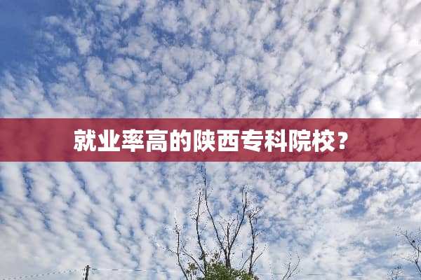 就业率高的陕西专科院校？
