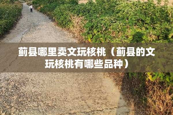 蓟县哪里卖文玩核桃（蓟县的文玩核桃有哪些品种）