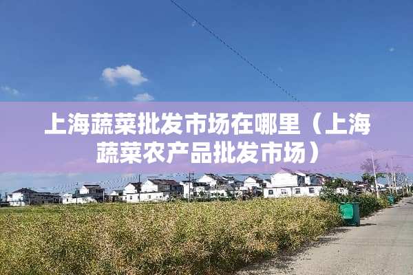 上海蔬菜批发市场在哪里（上海蔬菜农产品批发市场）