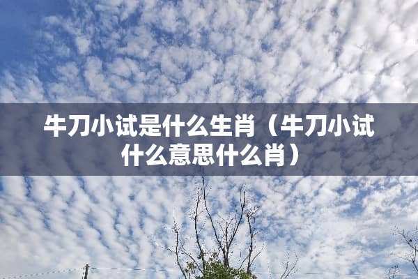 牛刀小试是什么生肖（牛刀小试什么意思什么肖）