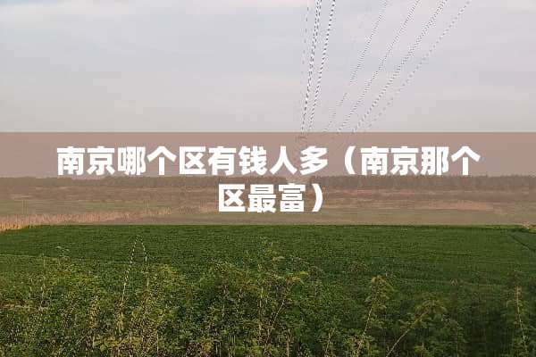 南京哪个区有钱人多（南京那个区最富）