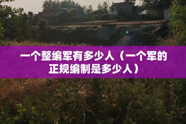 一个整编军有多少人（一个军的正规编制是多少人）