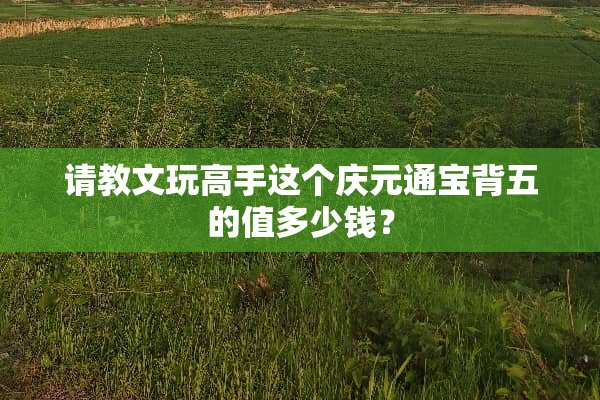 请教文玩高手这个庆元通宝背五的值多少钱？