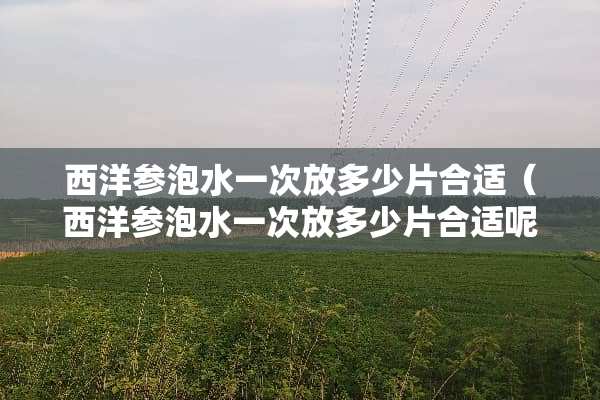 西洋参泡水一次放多少片合适（西洋参泡水一次放多少片合适呢）