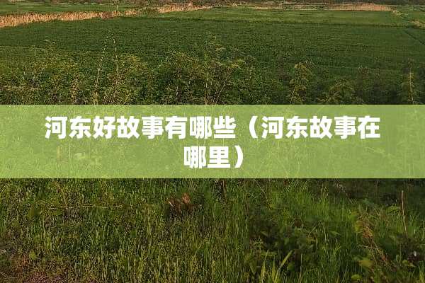 河东好故事有哪些（河东故事在哪里）