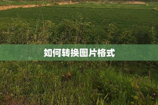 如何转换图片格式