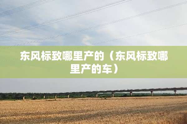 东风标致哪里产的（东风标致哪里产的车）