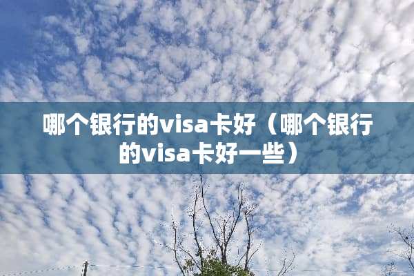 哪个银行的visa卡好（哪个银行的visa卡好一些）
