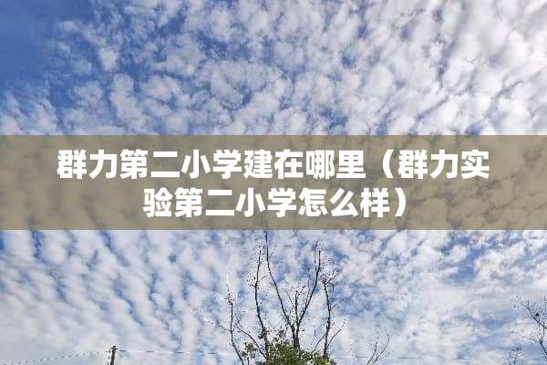 群力第二小学建在哪里（群力实验第二小学怎么样）