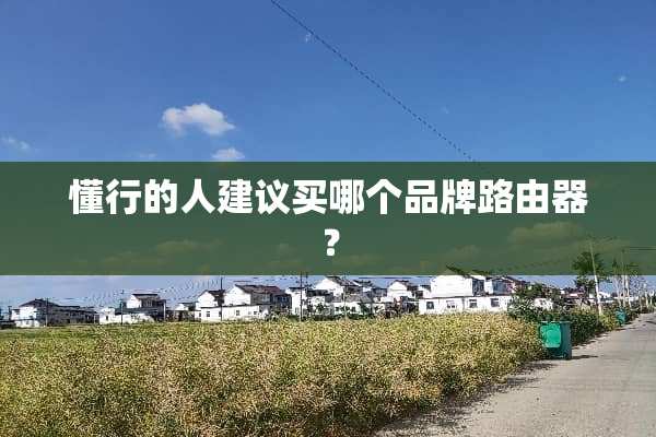 懂行的人建议买哪个品牌路由器？