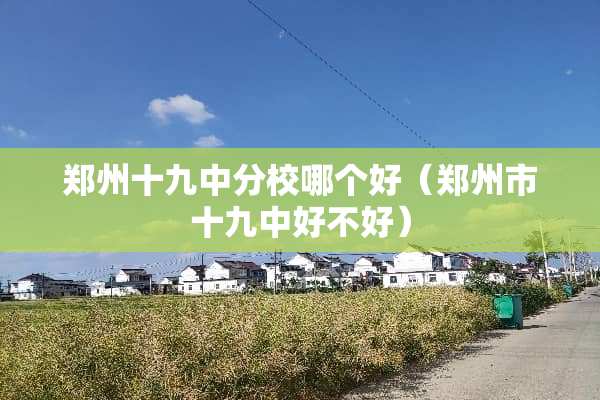 郑州十九中分校哪个好（郑州市十九中好不好）