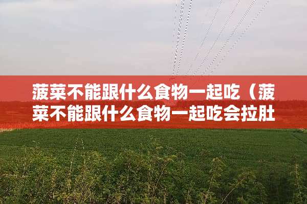 菠菜不能跟什么食物一起吃（菠菜不能跟什么食物一起吃会拉肚子）