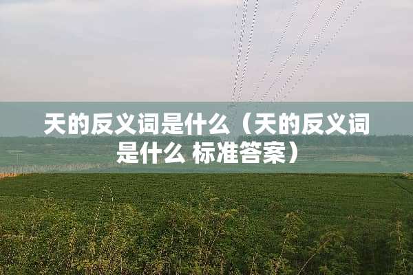 天的反义词是什么（天的反义词是什么 标准答案）