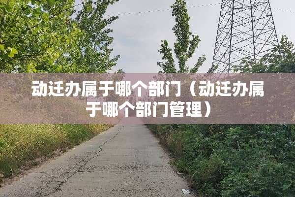 动迁办属于哪个部门（动迁办属于哪个部门管理）