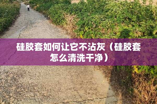 硅胶套如何让它不沾灰（硅胶套怎么清洗干净）