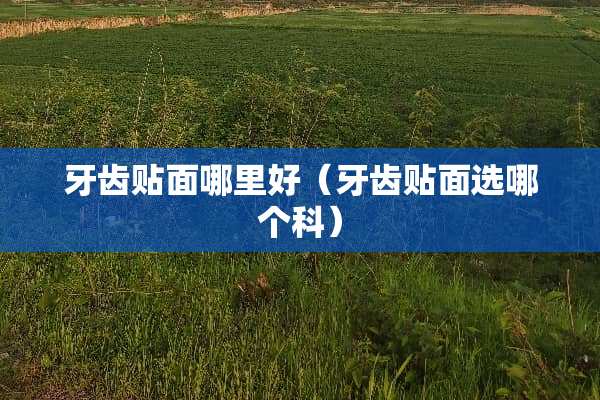 牙齿贴面哪里好（牙齿贴面选哪个科）