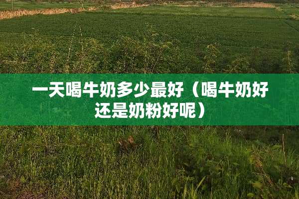 一天喝牛奶多少最好（喝牛奶好还是奶粉好呢）