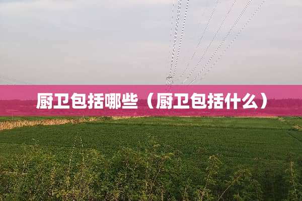 厨卫包括哪些（厨卫包括什么）