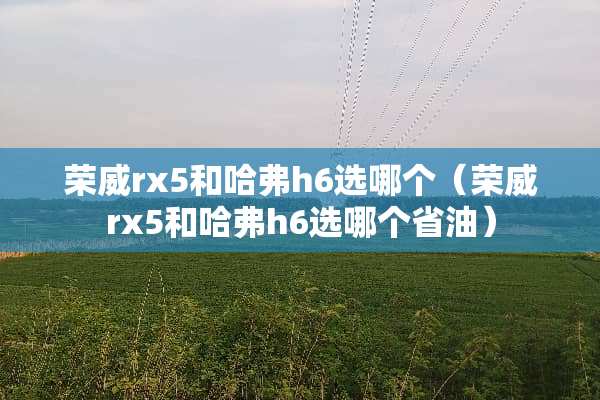 荣威rx5和哈弗h6选哪个（荣威rx5和哈弗h6选哪个省油）