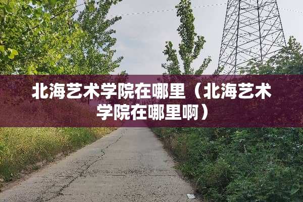 北海艺术学院在哪里（北海艺术学院在哪里啊）