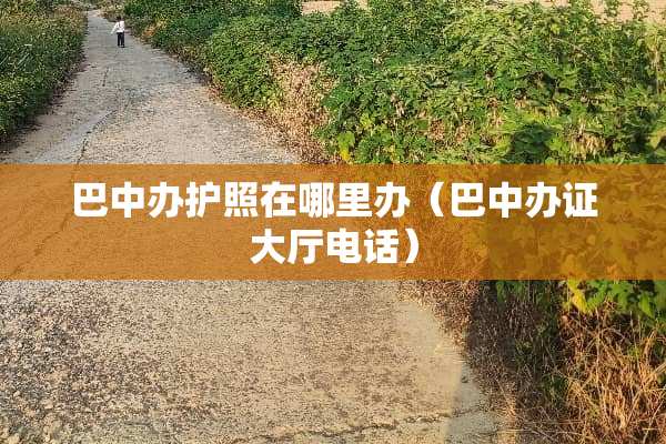巴中办护照在哪里办（巴中**大厅电话）