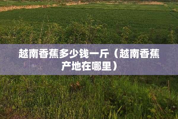 越南香蕉多少钱一斤（越南香蕉产地在哪里）