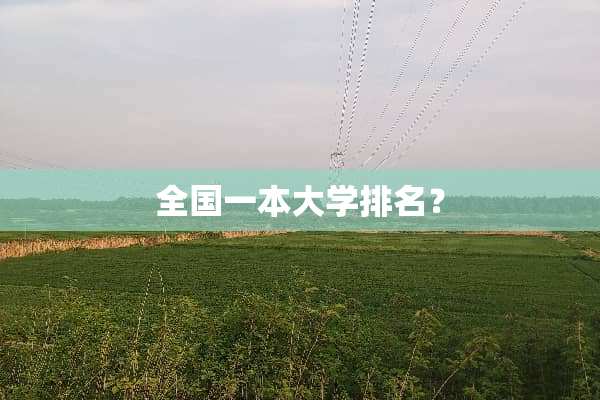 全国一本大学排名？